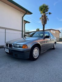 BMW 316 - 1