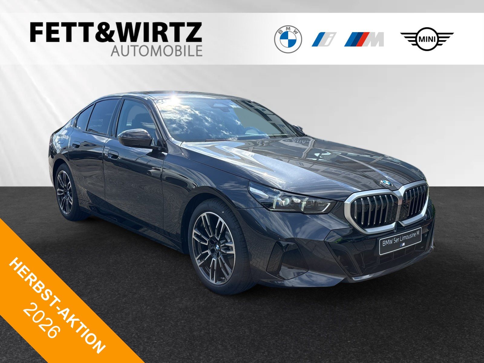 BMW 520 - Bild 1
