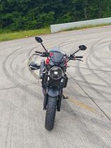 Suzuki SV 650 - Offers matching your search criteria