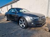 Audi S5 Cabriolet 3.0 TFSI quattro - Audi S5 in Hannover