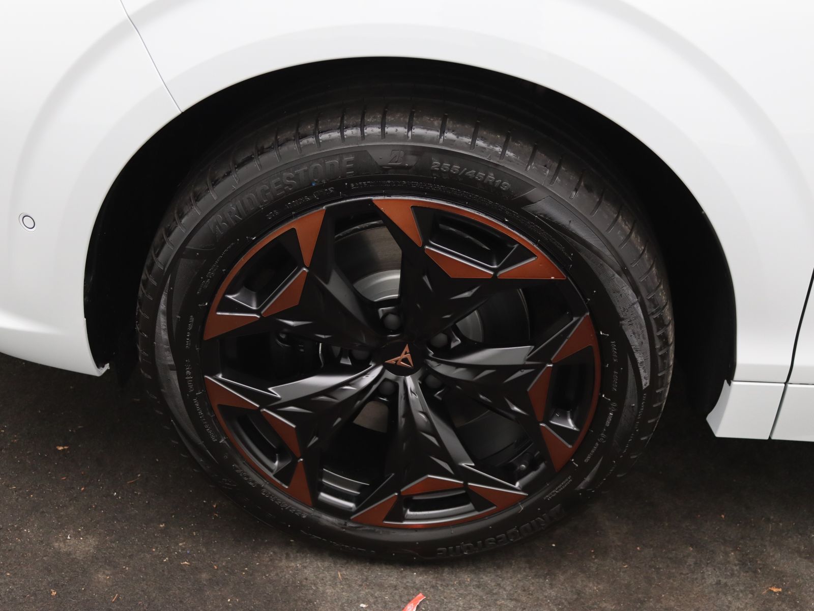 Cupra Terramar - Bild 15