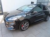 Ford Fiesta ST Line. Tempomat/Klima/LR heizbar - Ford Fiesta Gebrauchtwagen in Kassel