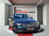 Mercedes-Benz E 250 CGI LIM*AVANTGARDE*AUTOM*KAMER*NAVI*LED*SH - Mercedes-Benz: Grün