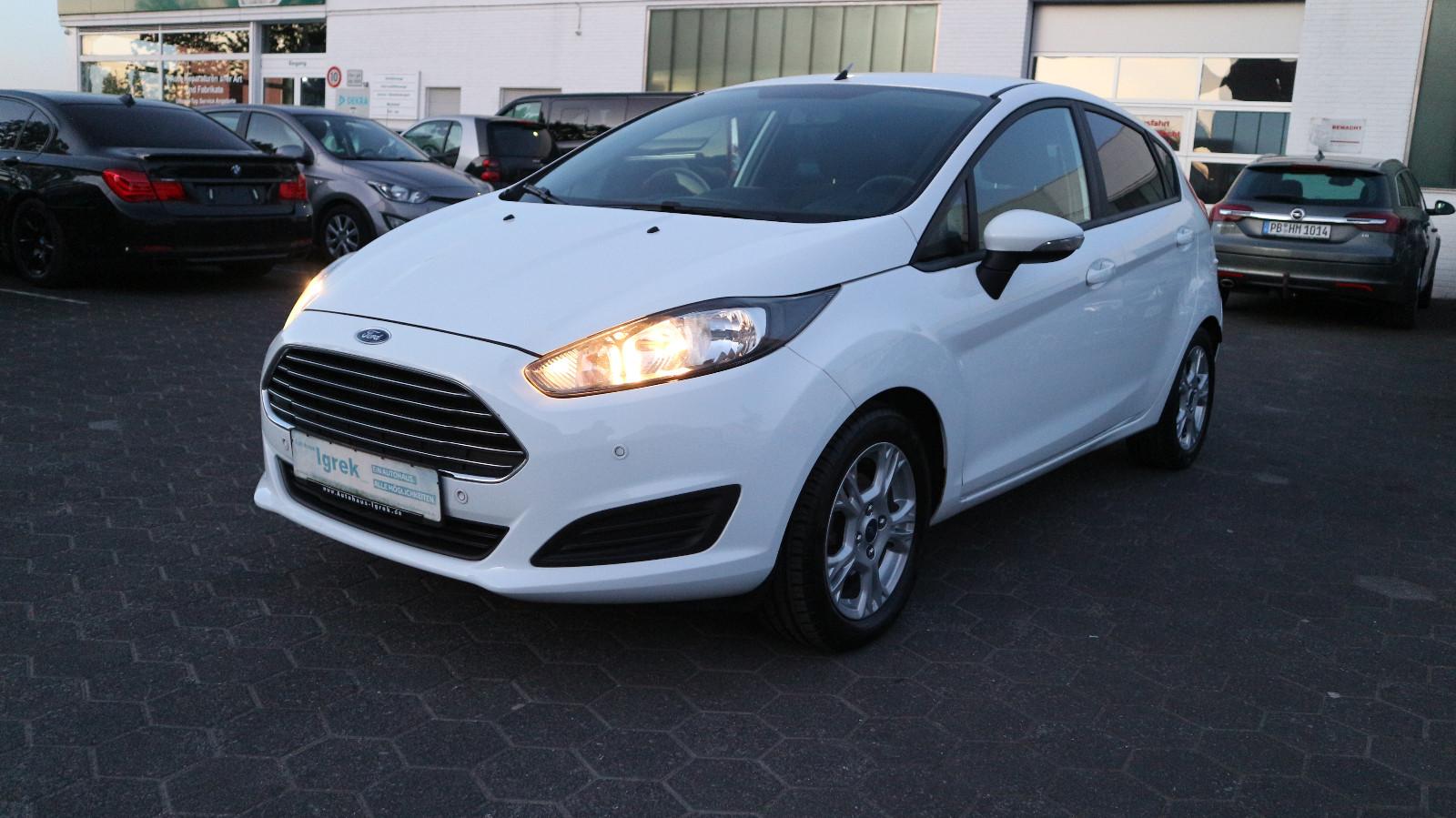 Ford Fiesta Ambiente Navi/PDC/Sitzheizung