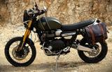 Triumph Scrambler 1200 XE | Matt Khaki Green |  - TRIUMPH SCRAMBLER