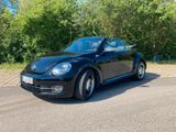 Volkswagen VW New Beetle Cabrio - Volkswagen New Beetle: Navigationssystem