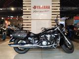 Yamaha XVS 1300A Midnight Star *inkl. Zubehör* - YAMAHA CHOPPER