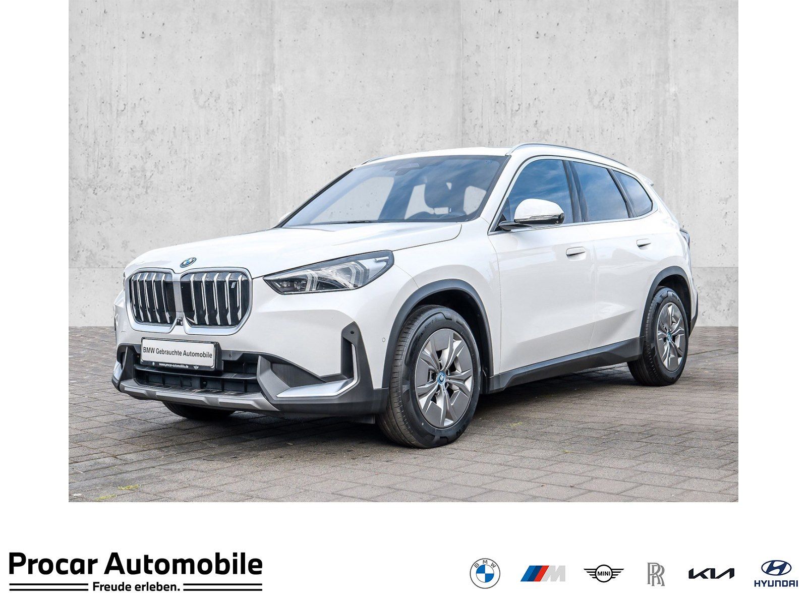 BMW iX1 xDrive30 HUD RFK NAVI Standh. LED PDC V H foto 1