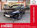 Toyota RAV 4 Plug-in-Hybrid Teamplayer