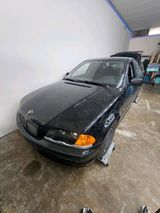 BMW E46 320d Limousine Bastlerfahrzeug vfl - BMW 320 aus 2001: 320d