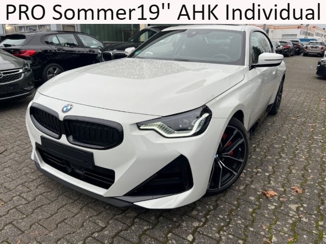 BMW 220 i M-Sport PRO Sommer19'' AHK Individual Glas