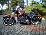 Harley-Davidson FLSTN Heritage Softail EVO  - HARLEY-DAVIDSON 1996 SOFTAIL