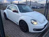 Volkswagen Beetle Lim. Sport,Navi,Bi-Xenon,Auto,PDC,19"Felg - VW Beetle Gebrauchtwagen in Hamburg
