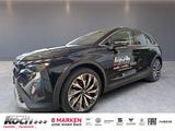 Skoda Elroq 85 MAXX MATRIX NAVI CANTON 21Z WP EL-HK - E-Autos