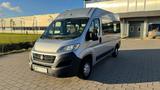 Fiat Ducato Luxusbus Panorama Modular 33 150 L2H2 RS - Fiat Ducato: 2.3