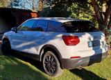 Audi Q2 1.6 TDI - Sport edition - Audi Q2 von privat