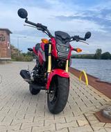 Honda MSX 125 / Grom - HONDA MSX
