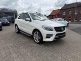 Mercedes-Benz ML 350 BT AMG/SPORT PANO DESIGNO VOLL - Mercedes-Benz ML 350: AMG