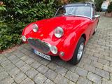 Austin Healey Sprite MK1 - Austin Healey Gebrauchtwagen