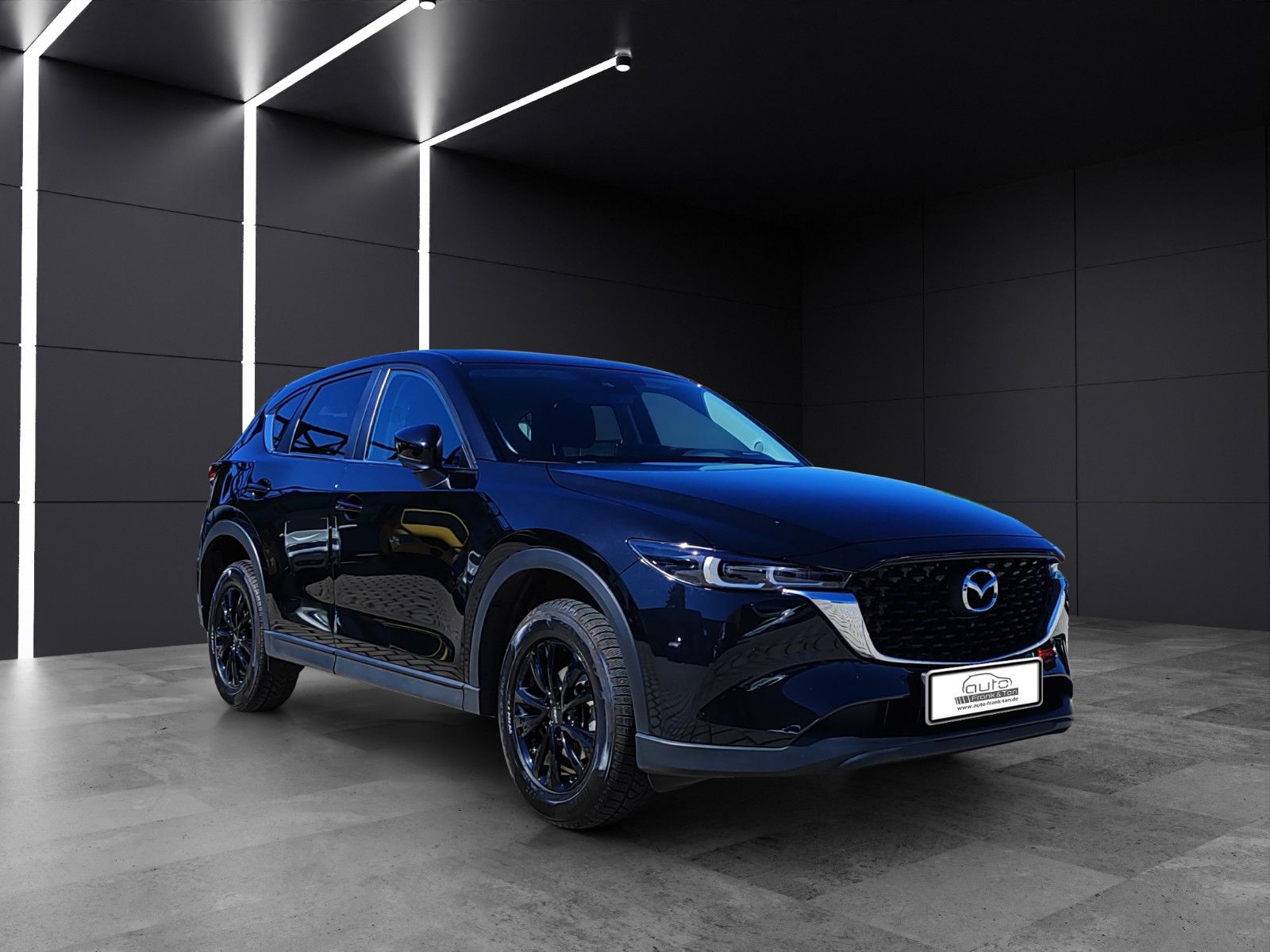 Fahrzeugabbildung Mazda CX-5 Ad'vantage*Apple CarPlay*Navi*Winter Paket*