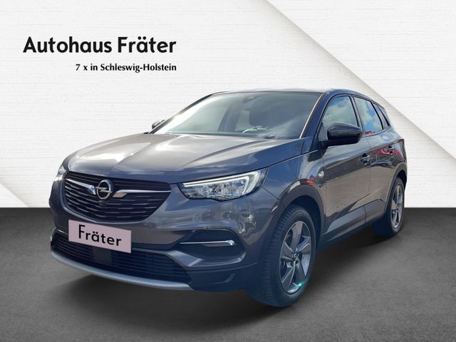 Fotografie des Opel Grandland (X)