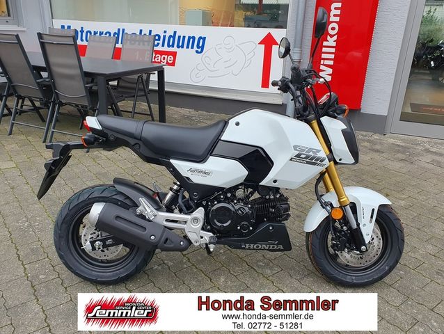 Honda MSX125 NEU MY2025 sofort Verfügbar!