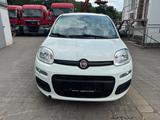 Fiat Panda Pop - Fiat Panda Gebrauchtwagen in Mülheim (Ruhr)