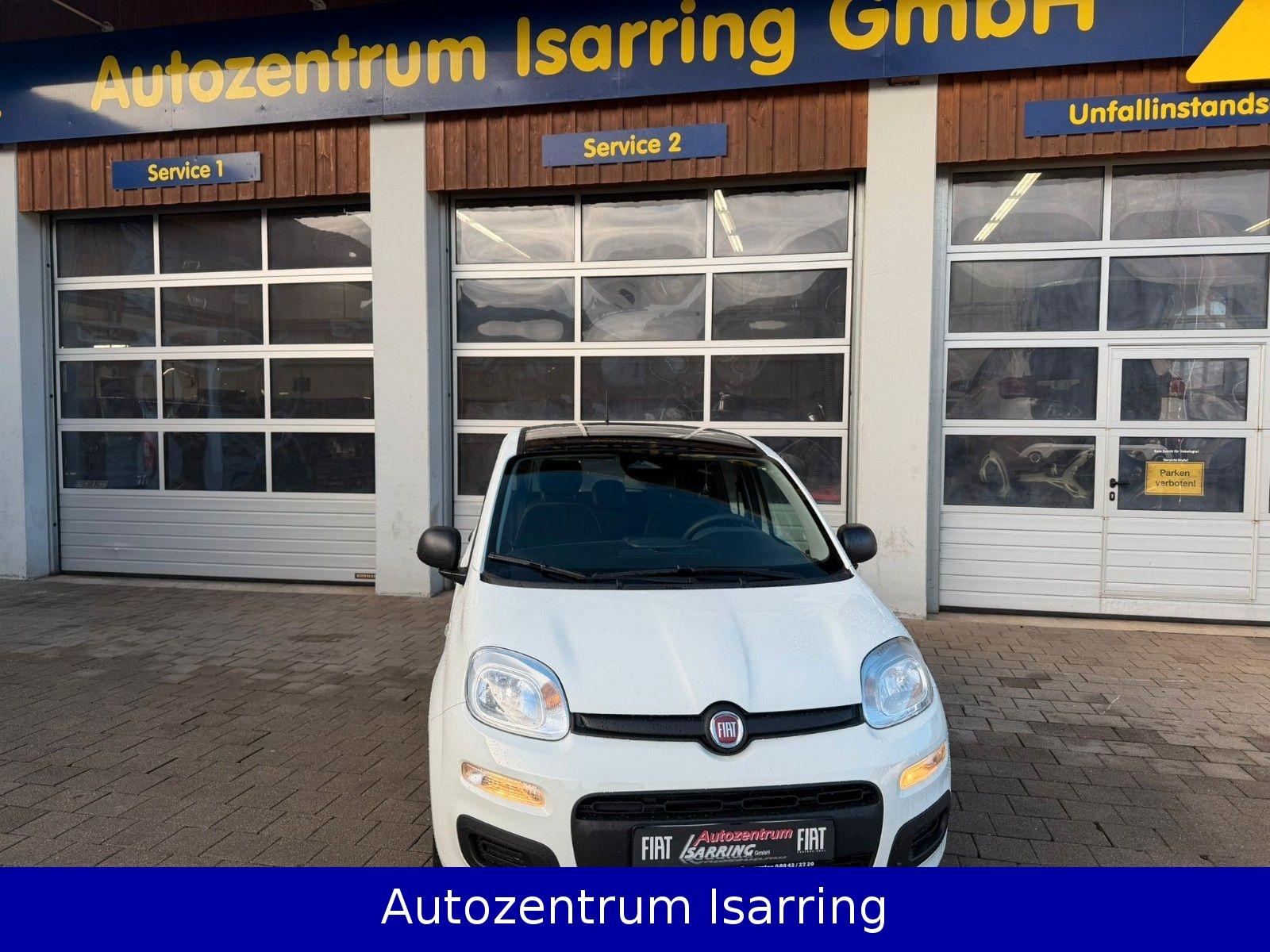 Fiat Panda Pandina Pop