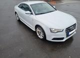 Audi Top gepflegter Audi A5 2.0 TDI  S-Line Quattro - Audi A5 mit Diesel-Antrieb: Sportwagen