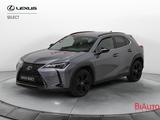 Lexus UX Hybrid Midnight - graue Lexus UX