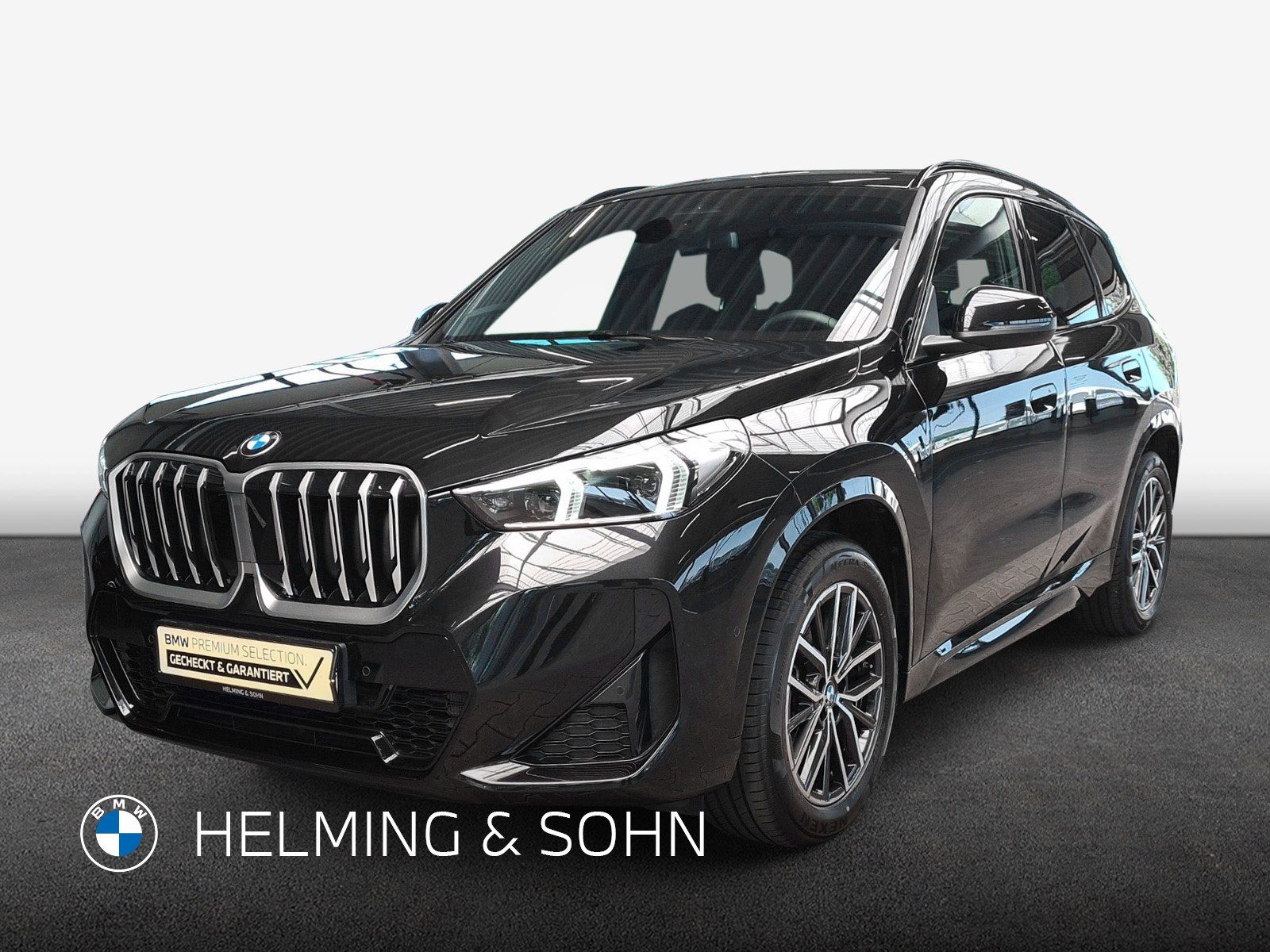 BMW X1 sDrive18i M-Sport DAB LED AHK Shz. uvm