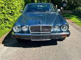 Jaguar XJ6 - sehr selten evt. auch Tauch  - Jaguar Gebrauchtwagen von 1985