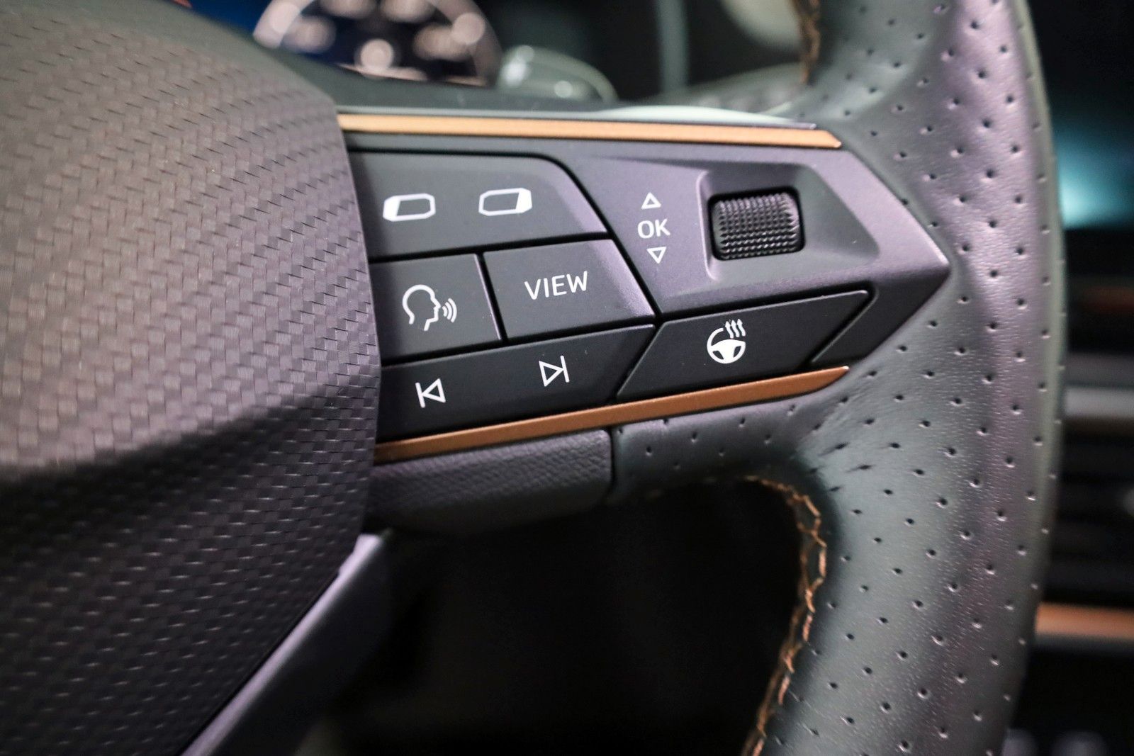 Fahrzeugabbildung CUPRA Formentor e-Hybrid T.Leder,Navi,LED,ACC,AppleCar