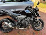 Honda CB 600 F HORNET PC41 - HONDA CB600F