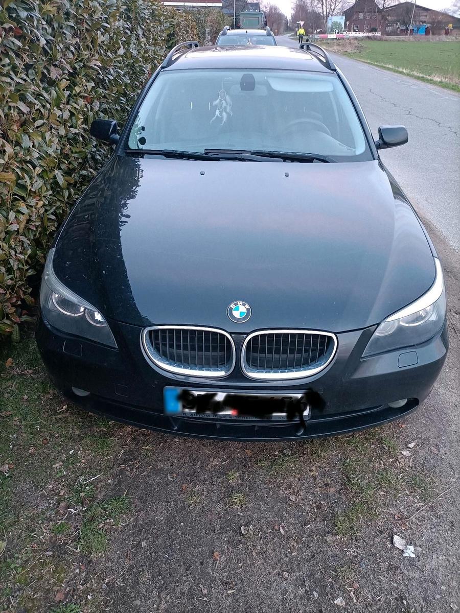 BMW 525 2005 — rear view