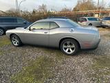 Dodge Challenger SXT 3,6 2015 unfallfrei Leder Top - Dodge Challenger Gebrauchtwagen