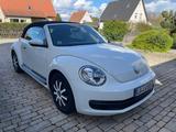 Volkswagen Beetle 1.2 TSI BMT Cabriolet -