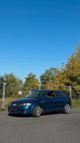 Audi A3 8P 1.6FSI - Audi A3 aus 2003: 8p