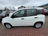 Fiat Panda Easy+ALLWETTER+KLIMA+RADIO+4SITZER+ABS+ESP - Fiat Panda: Sitze