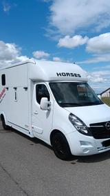 Opel 2 Pferdetransporter Henning Horsetruck Top Zusta - Tier- & Pferdetransport für 2 Pferde