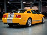 Ford Mustang Shelby No216 V8 4,6 GT-C Schalter - Ford Mustang aus 2008: Shelby