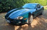 Jaguar XK XK8 4.0 Coupé - Jaguar XK: Jag