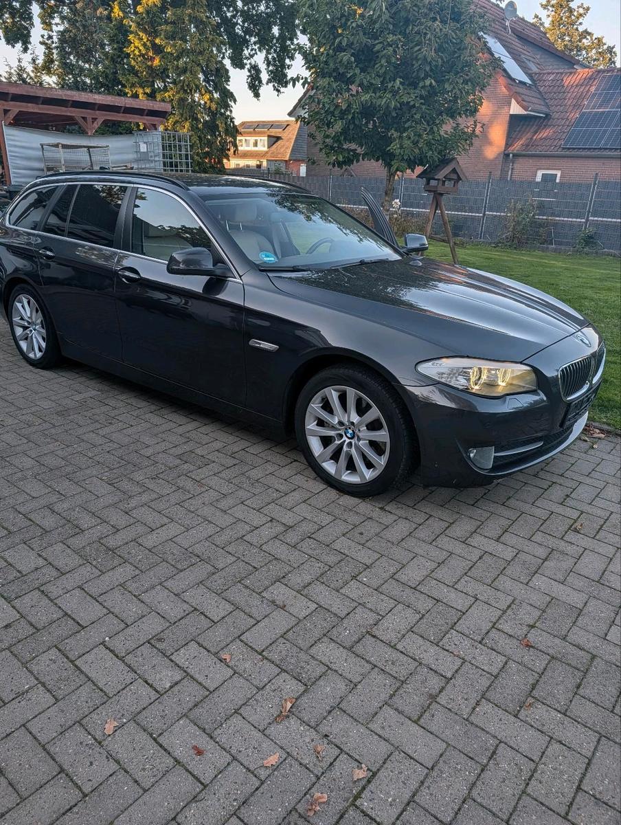 BMW 525 2013 — rear view
