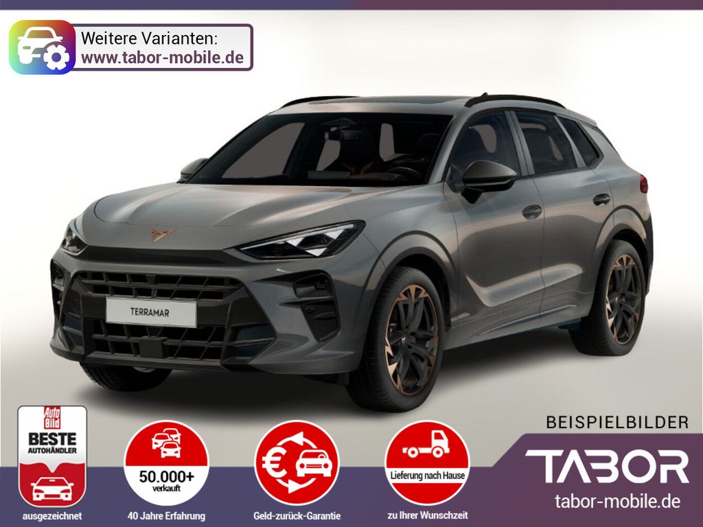 Image of Cupra Terramar