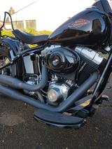 Harley-Davidson Cross Bones  - HARLEY-DAVIDSON CHOPPER CROS BONES