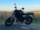 Yamaha XSR125 Sondermodell