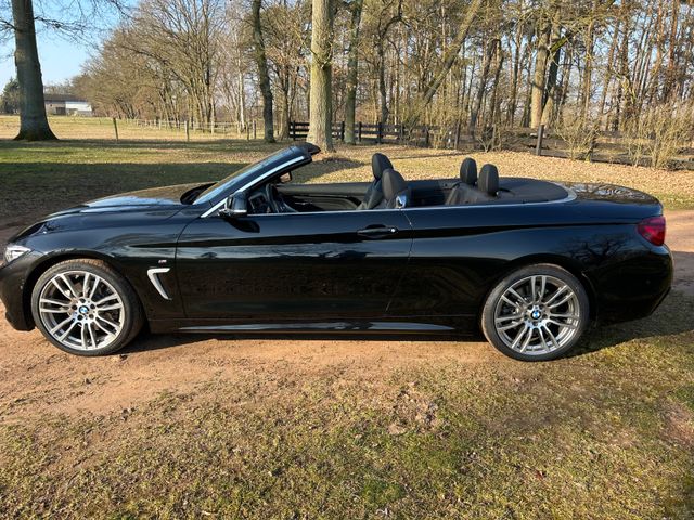 BMW 430 d Cab. M Sport Head Up schwarz/schwarz