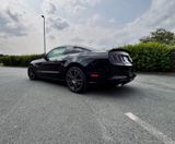 Ford Mustang GT 5.0 V8 | Schalter | US-Import |  - Ford Mustang: For
