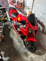 Honda VTR 1000 SP1  - HONDA VTR1000 SP1