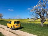 Volkswagen T5 Postbus mit 2 Schiebetüren - : Van, mit Schiebetür